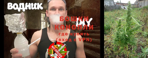 стафф Богданович