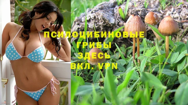 MDMA Premium VHQ Богородск