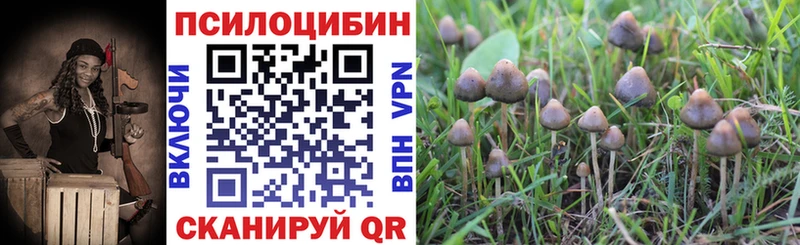 KRAKEN рабочий сайт  Славянск-на-Кубани  Псилоцибиновые грибы Psilocybe 